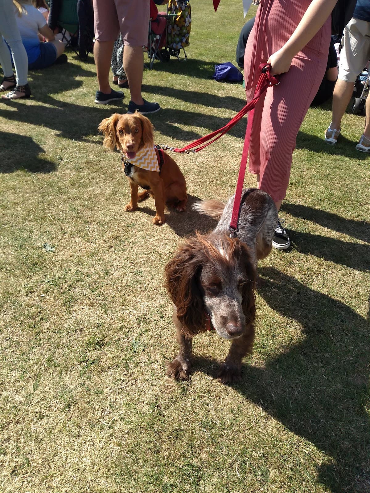 Rosemead Park - Image 1