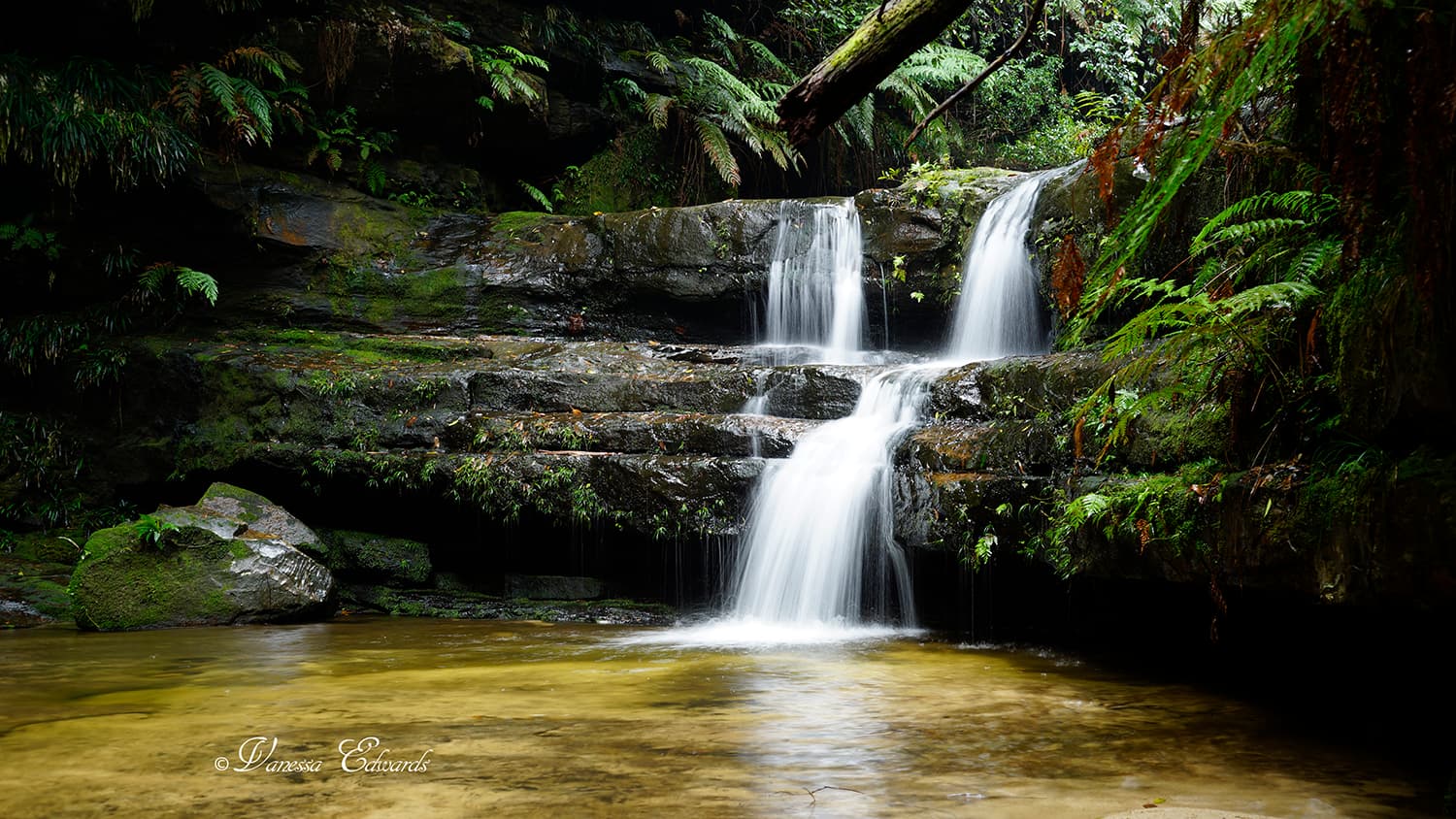 Hazelbrook - Image 1