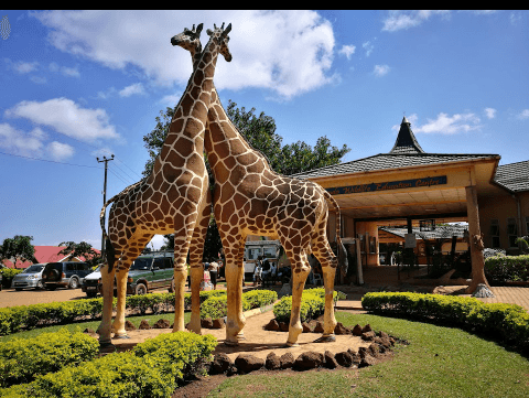 Uganda Wildlife Education Centre (Entebbe Zoo) - Image 1