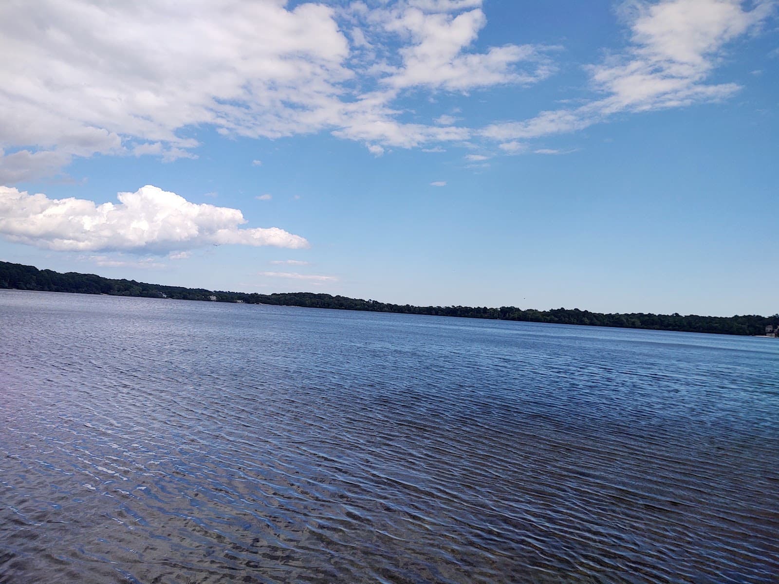 Punkhorn Parklands - Image 1