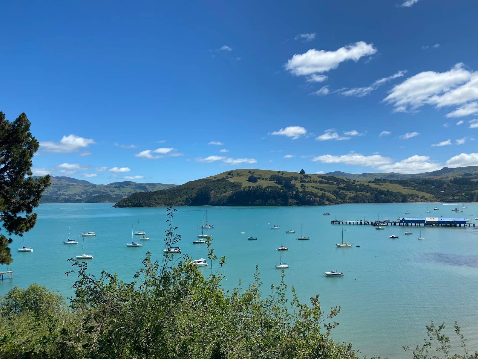 Port Waikato Fairy Trail