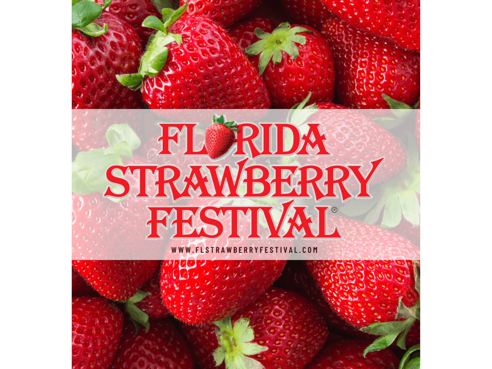Florida Strawberry Festival Grounds - Image 1