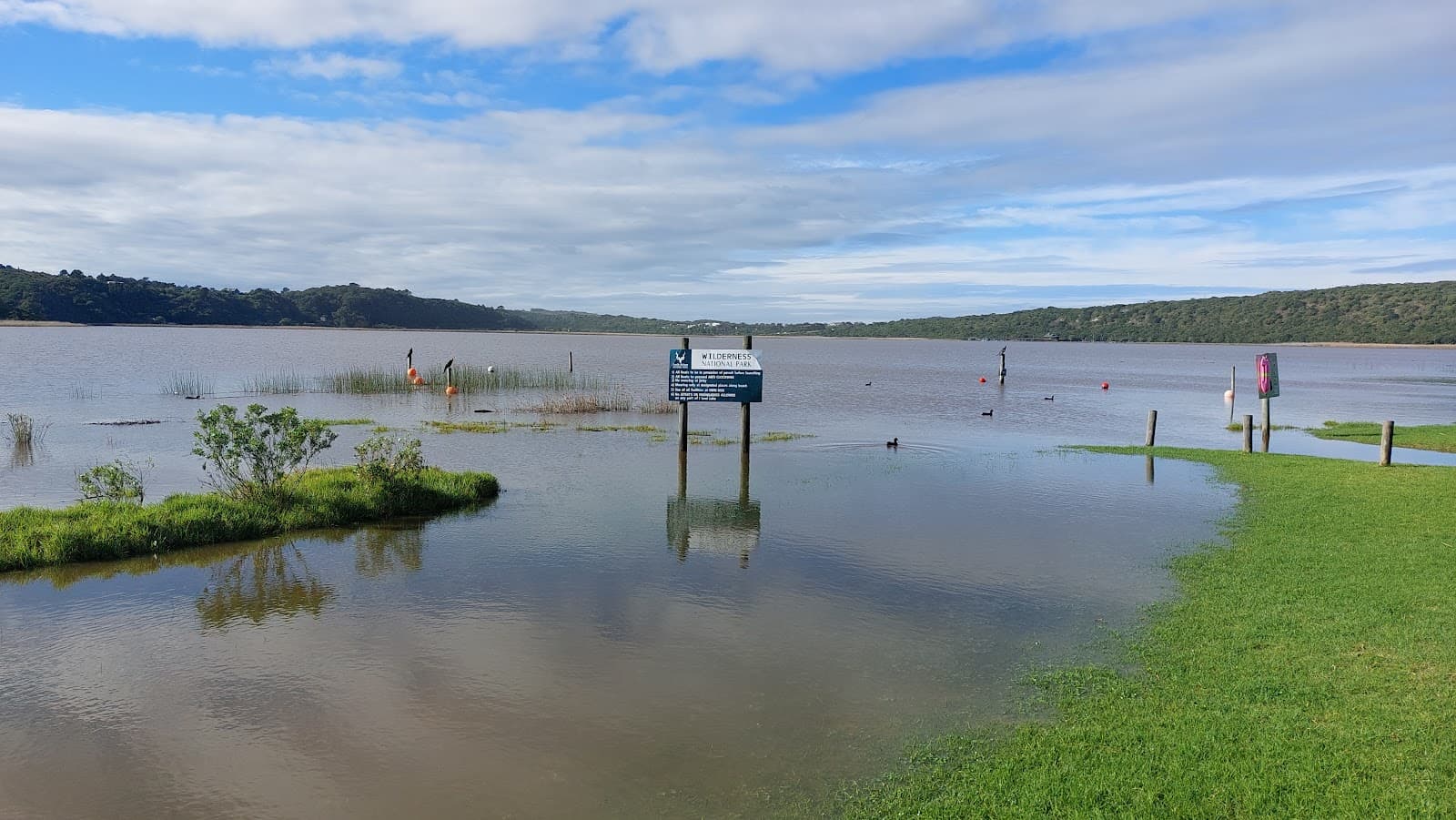 Island Lake (Eilandvlei) - Image 1