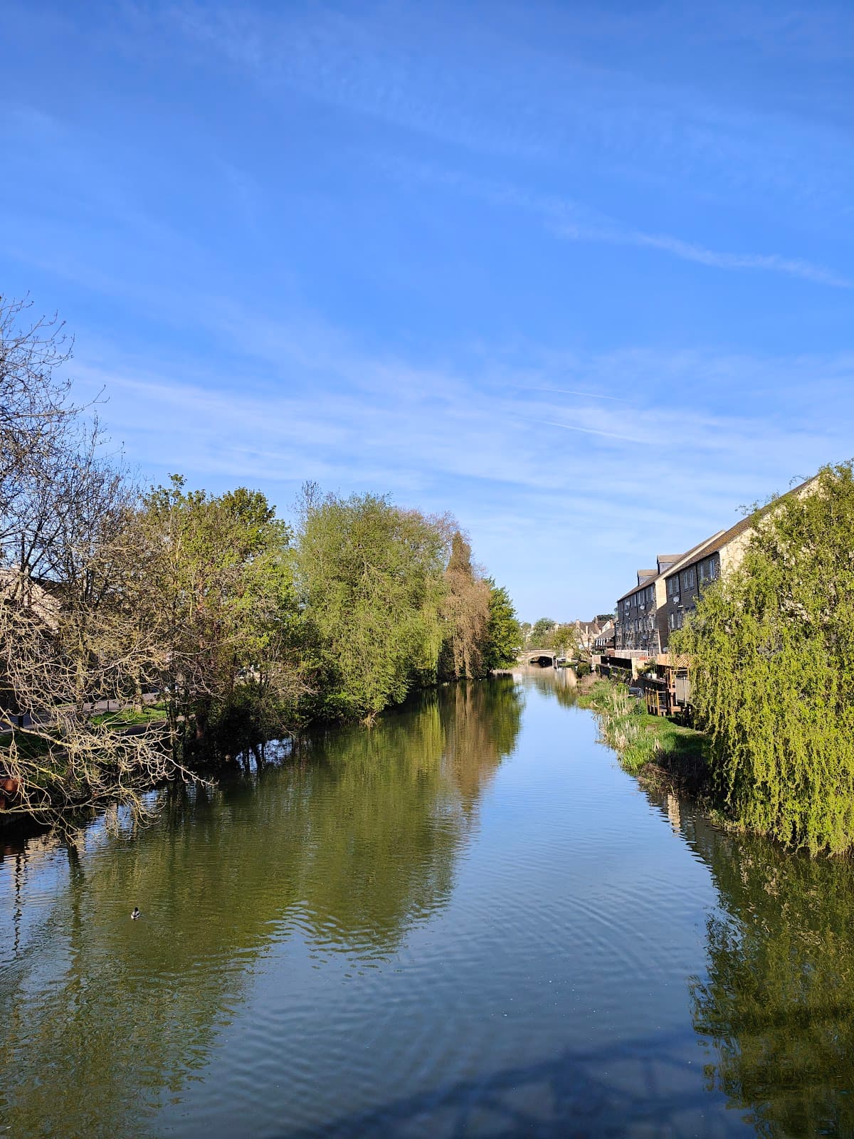 Albert Bridge footbridge - Image 1