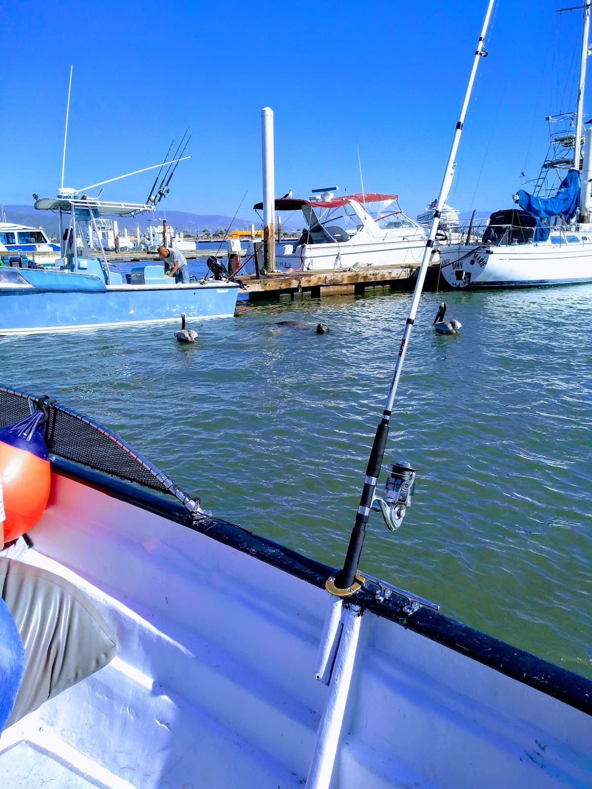 Ensenada Marina - Image 1