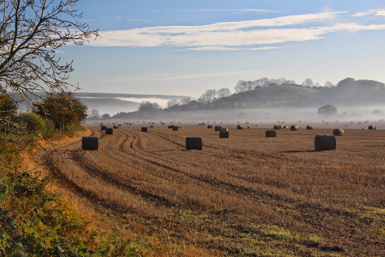Cranborne Chase AONB - Image 1