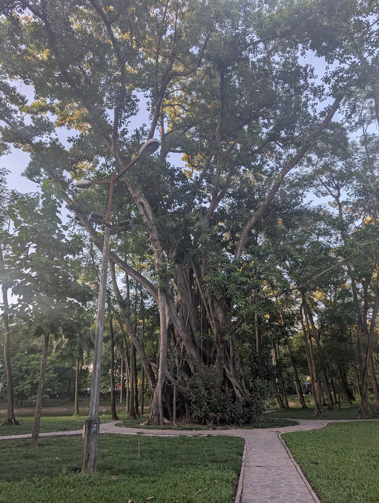 Hanoi Botanical Garden - Image 1