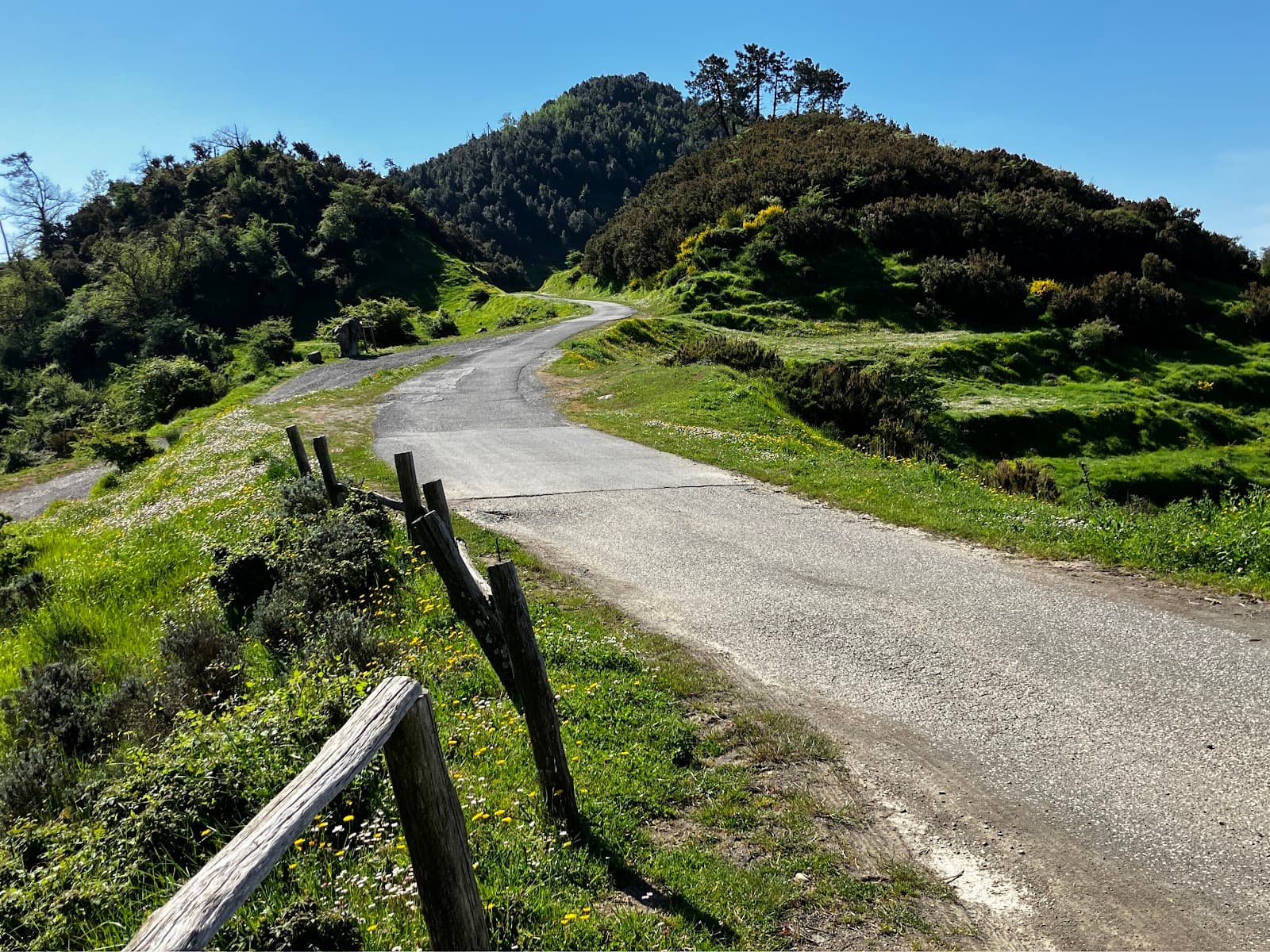 Monte Bardellone - Image 1