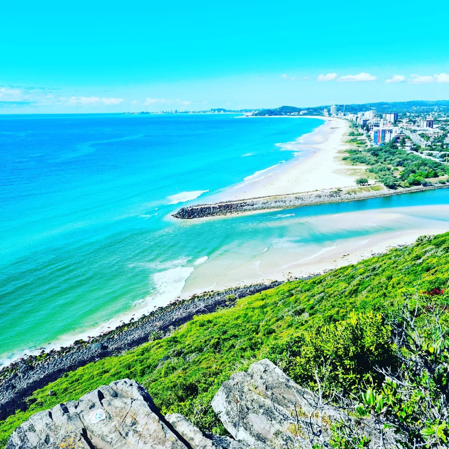 Oceanview Track (Burleigh Head NP) - Image 1