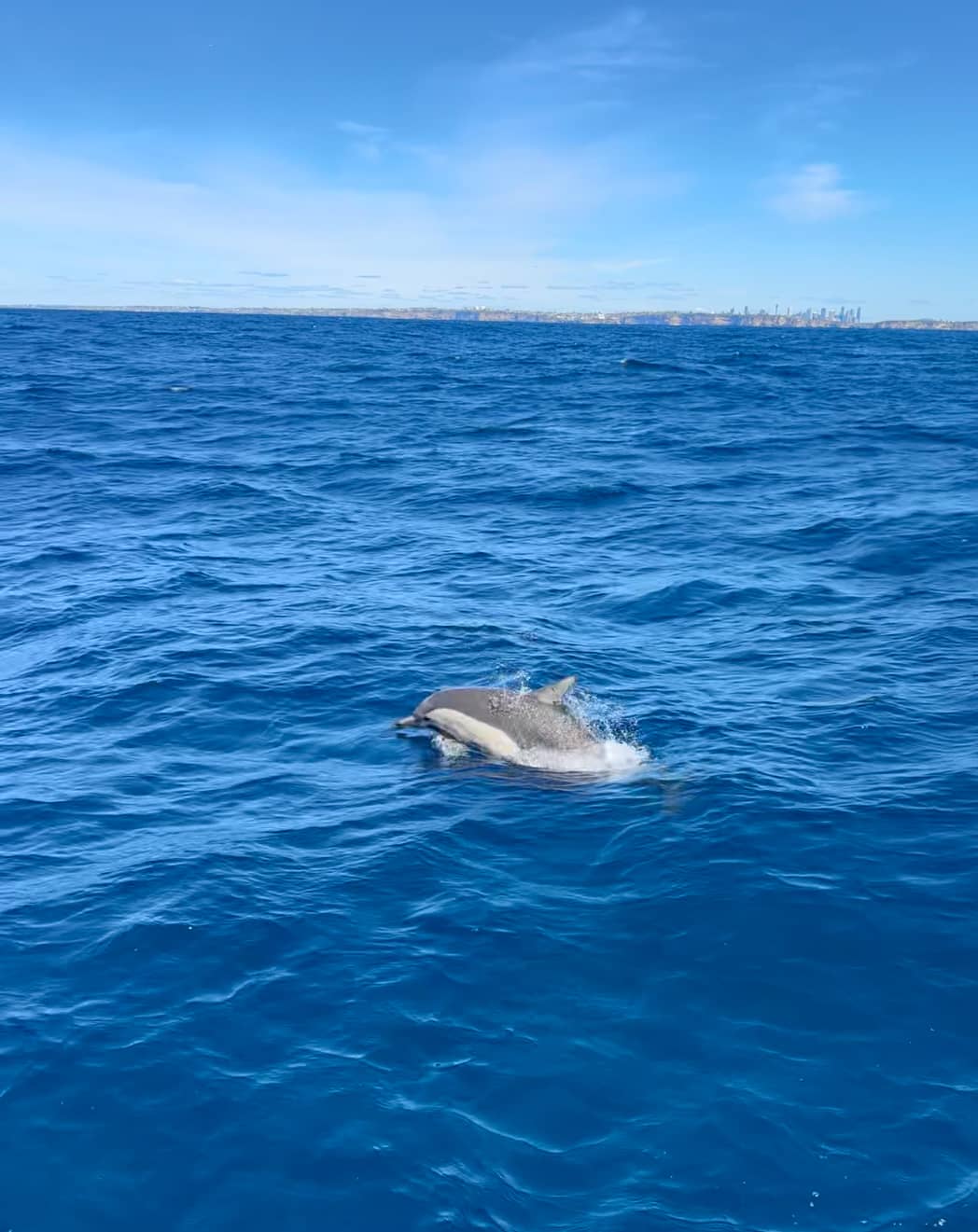 Sydney Harbour Views