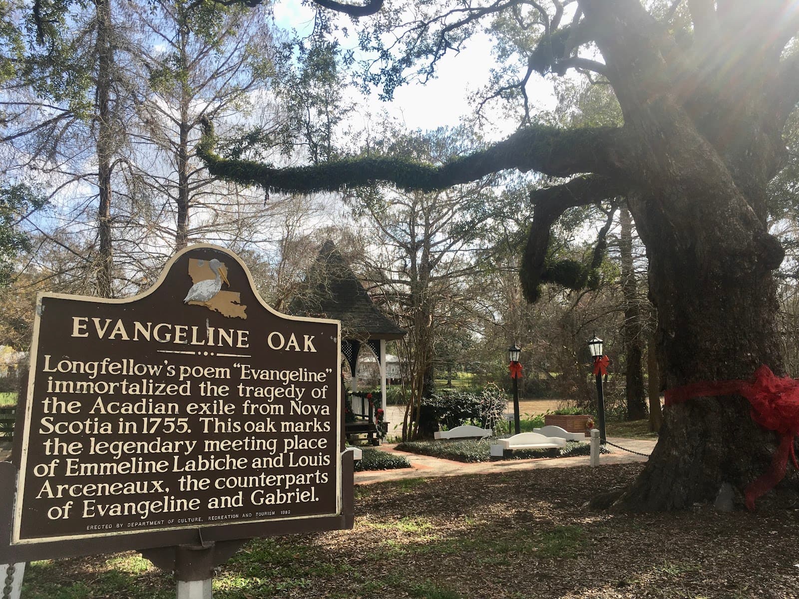 Evangeline Oak - Image 1