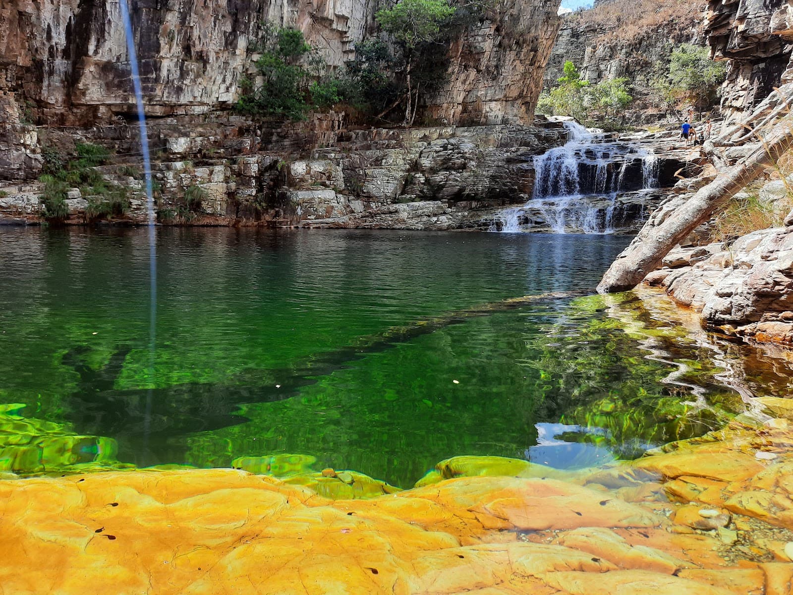 Paraíso Perdido - Image 1