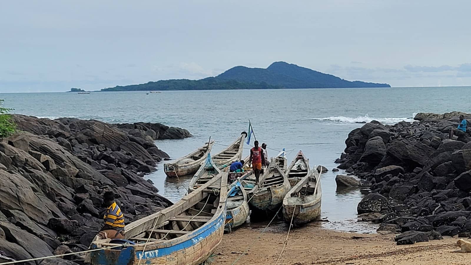 Surf Therapy Sessions