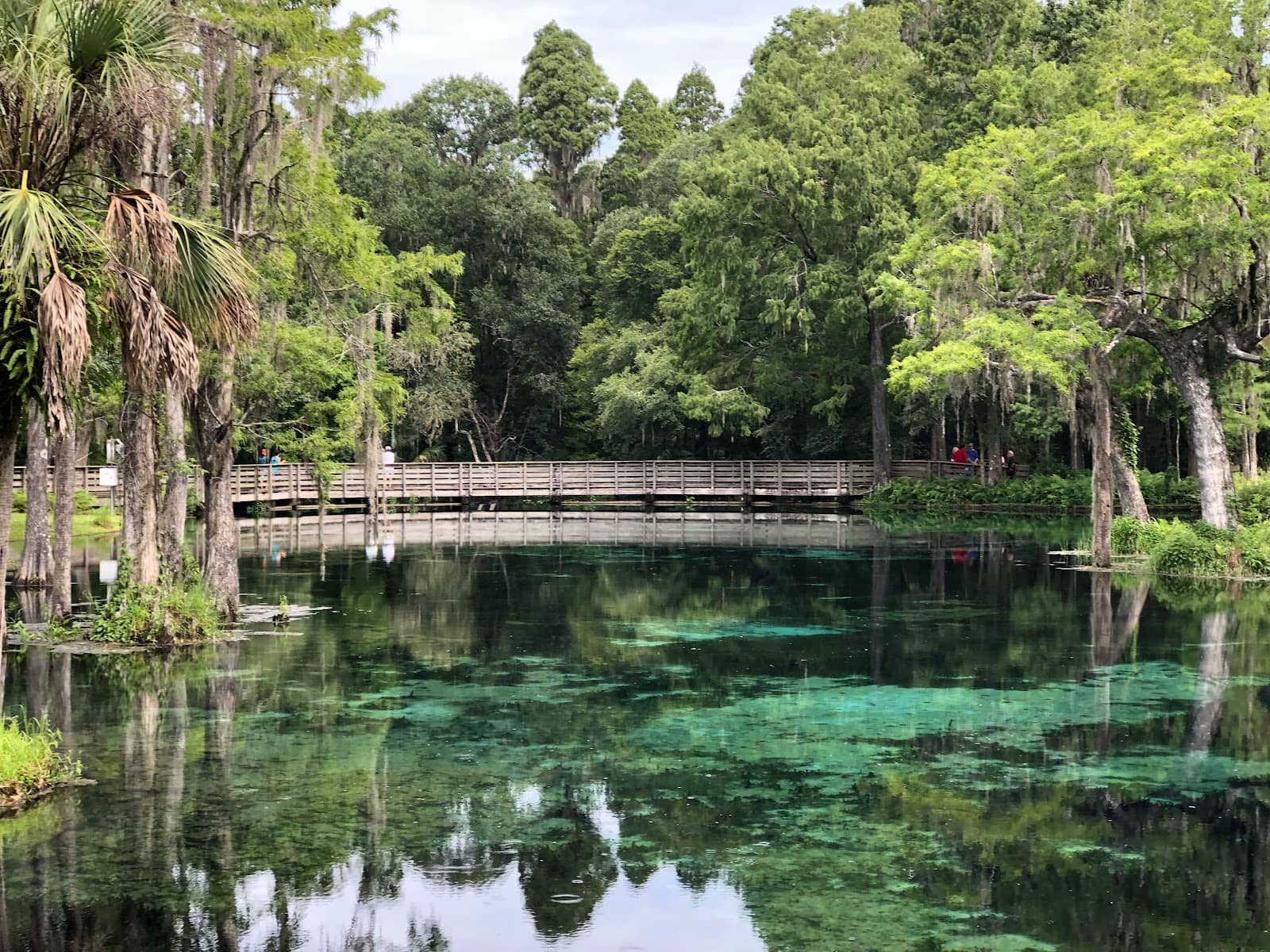 Natural History Museum