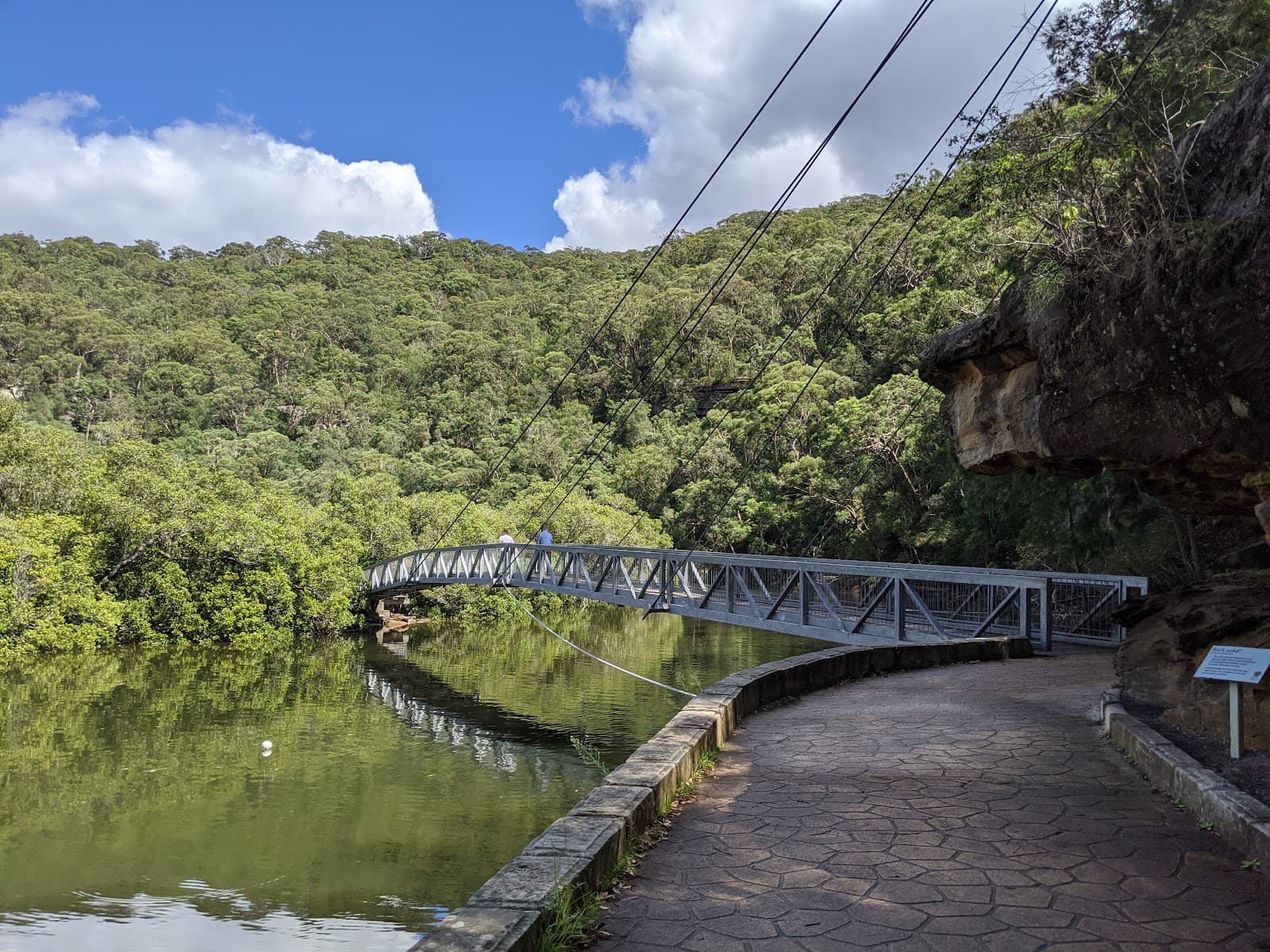 Careel Bay Mangroves Walk - Image 1