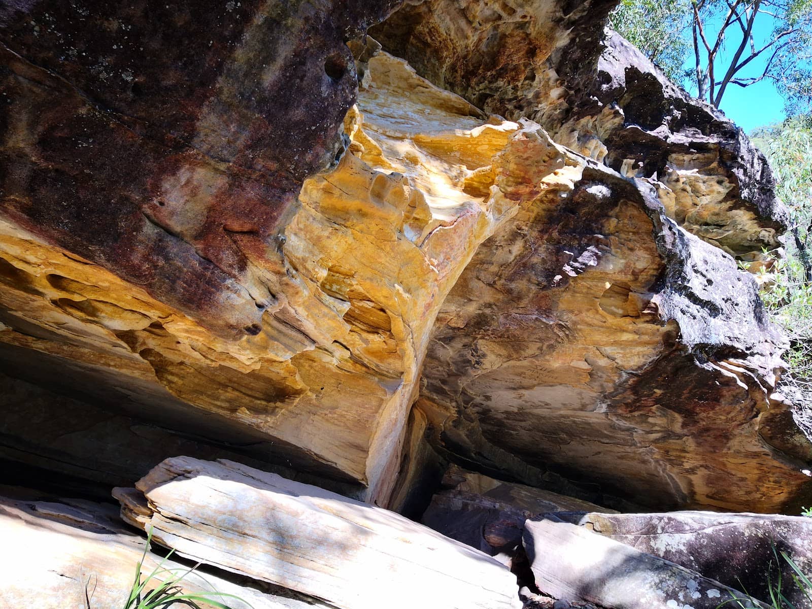 Vertical photo