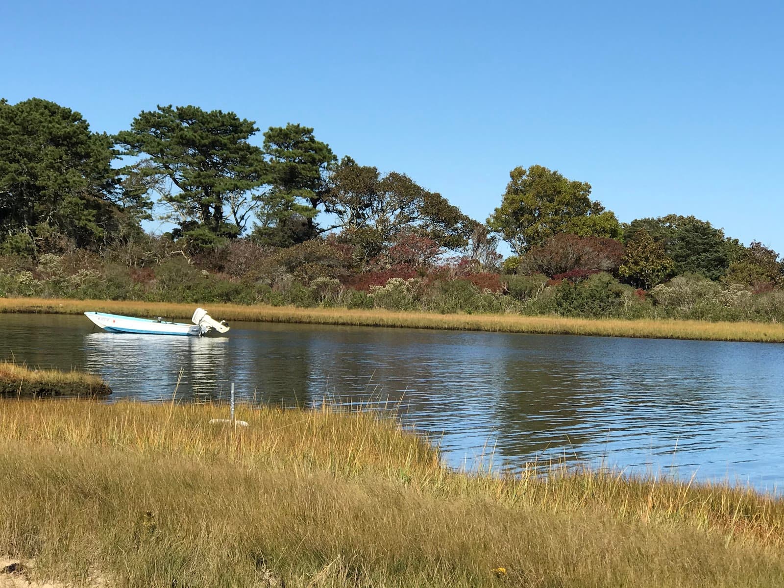 Poucha Pond - Image 1