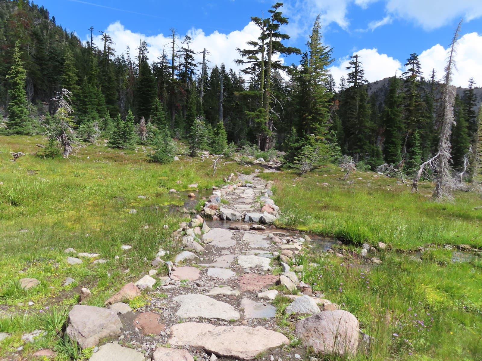 Panther Meadow - Image 1