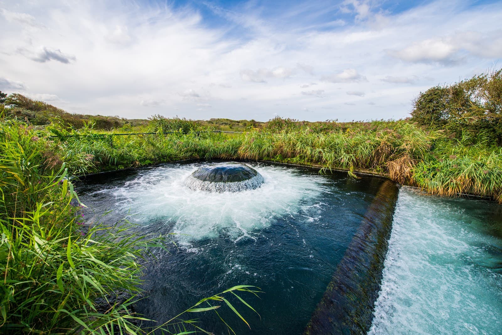North Amsterdam Dunes - Image 1