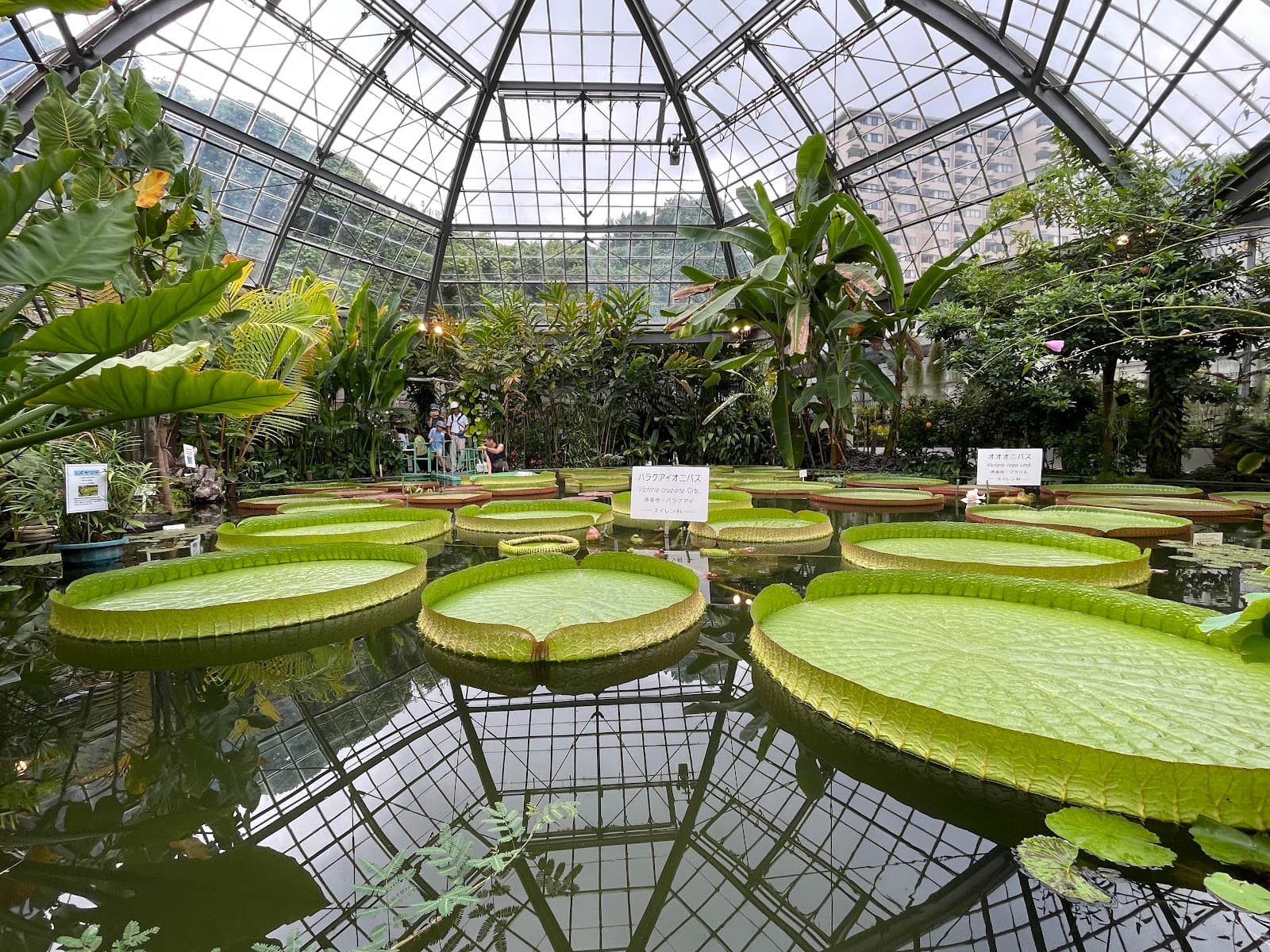 Atagawa Tropical & Alligator Garden - Image 1