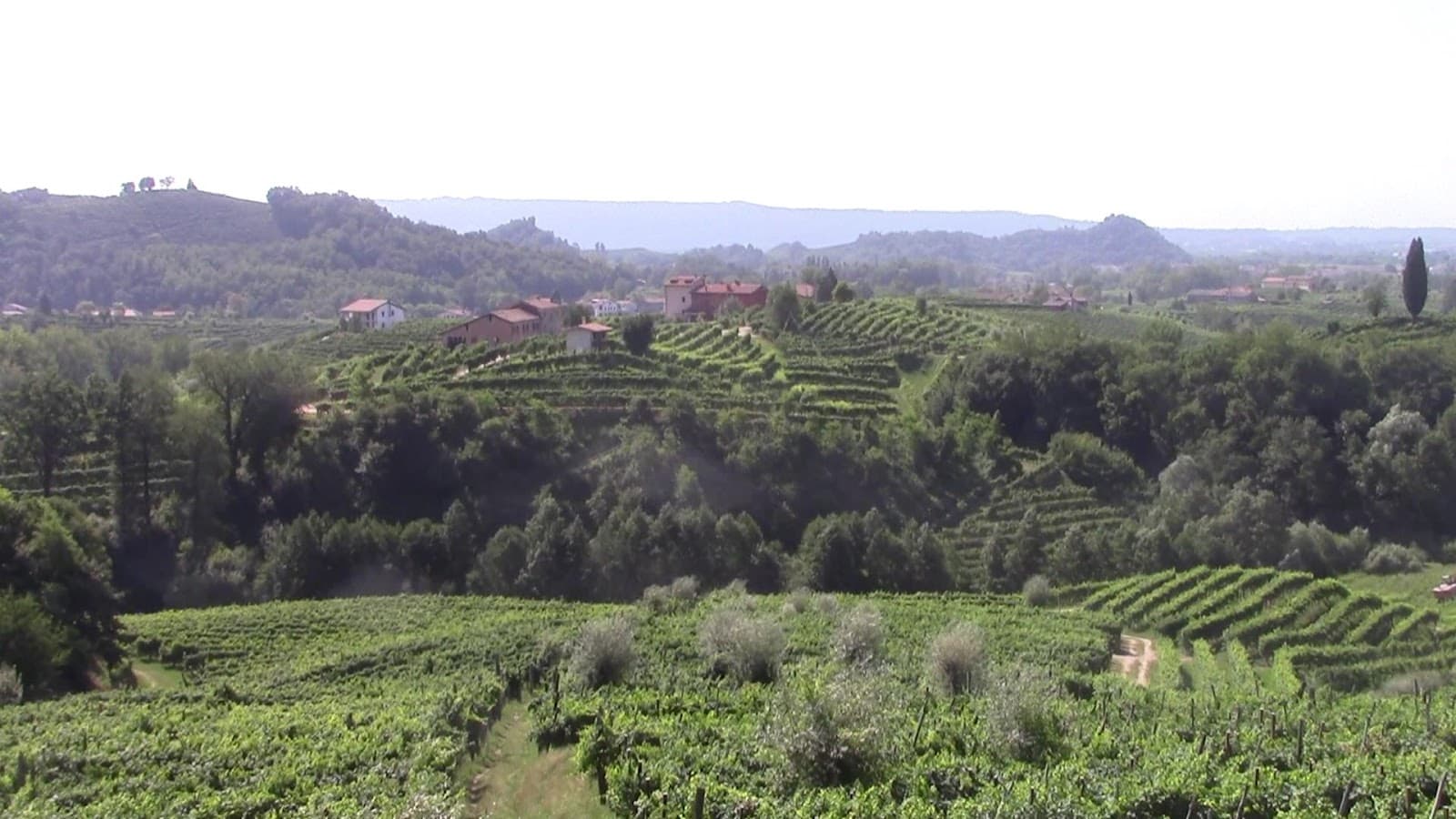 Strada del Prosecco Conegliano–Valdobbiadene - Image 1