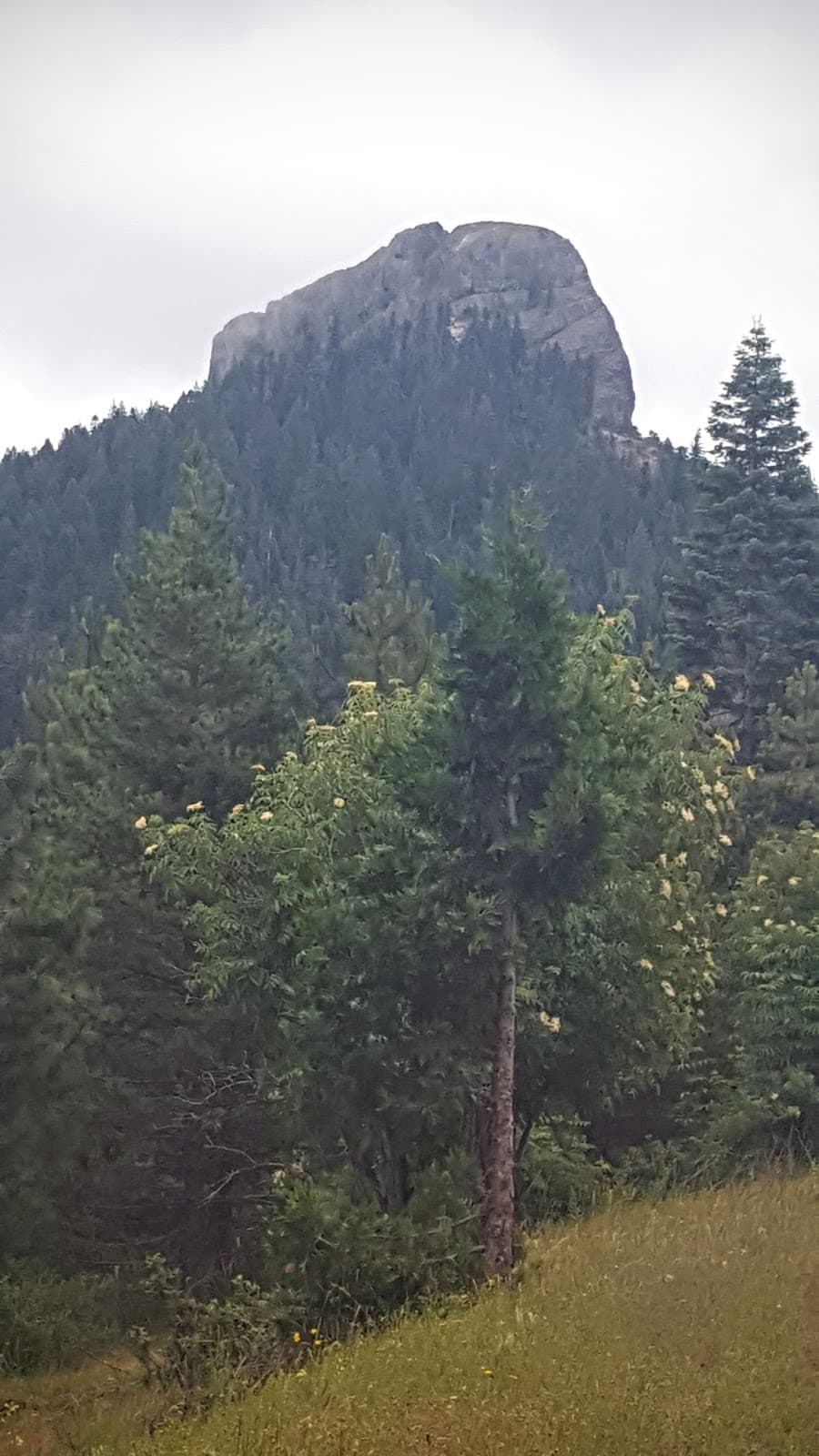 Pilot Rock Trail - Image 1