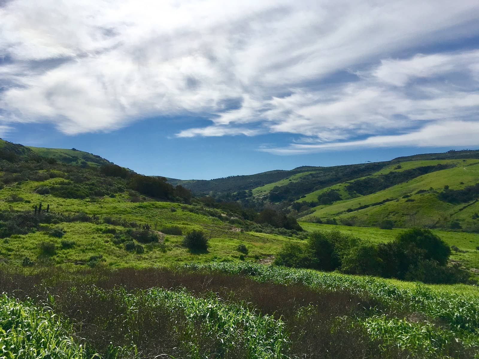 Rugged Rock Outcrops