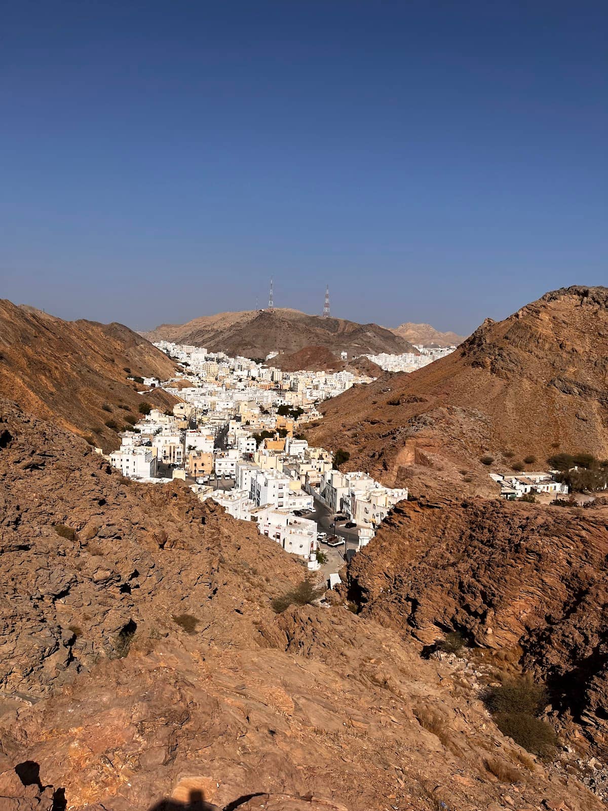 Picnic and Barbecue Spot