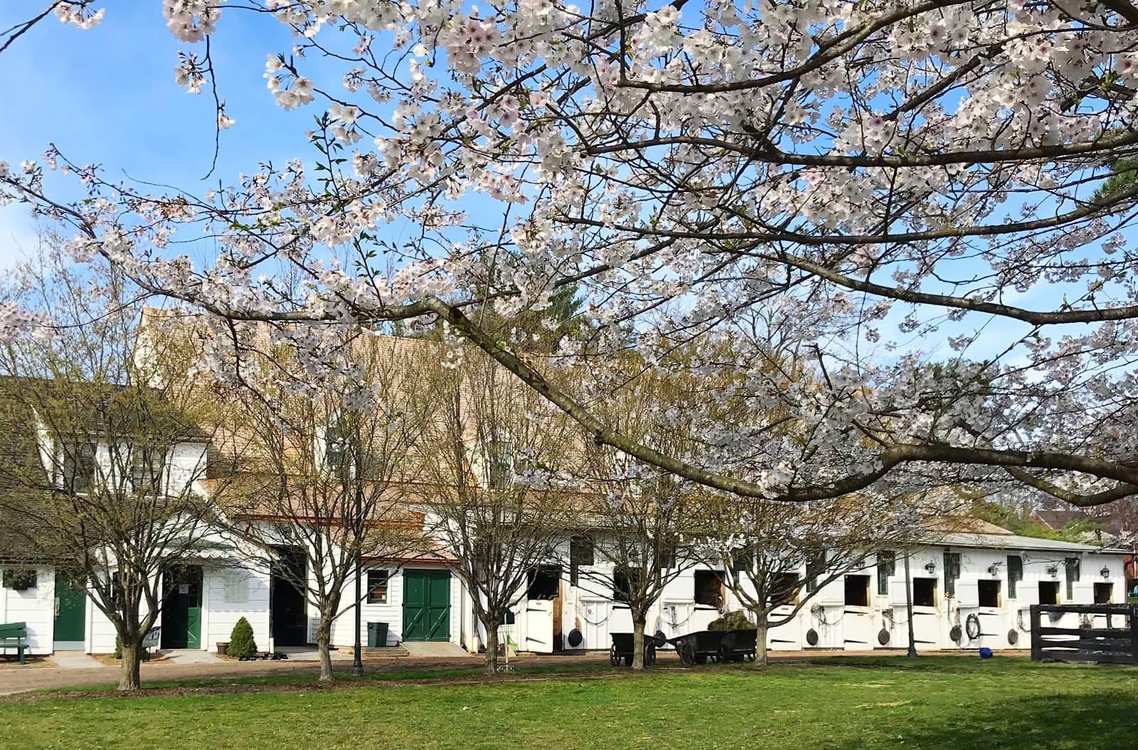 Meadowbrook Stables - Image 1