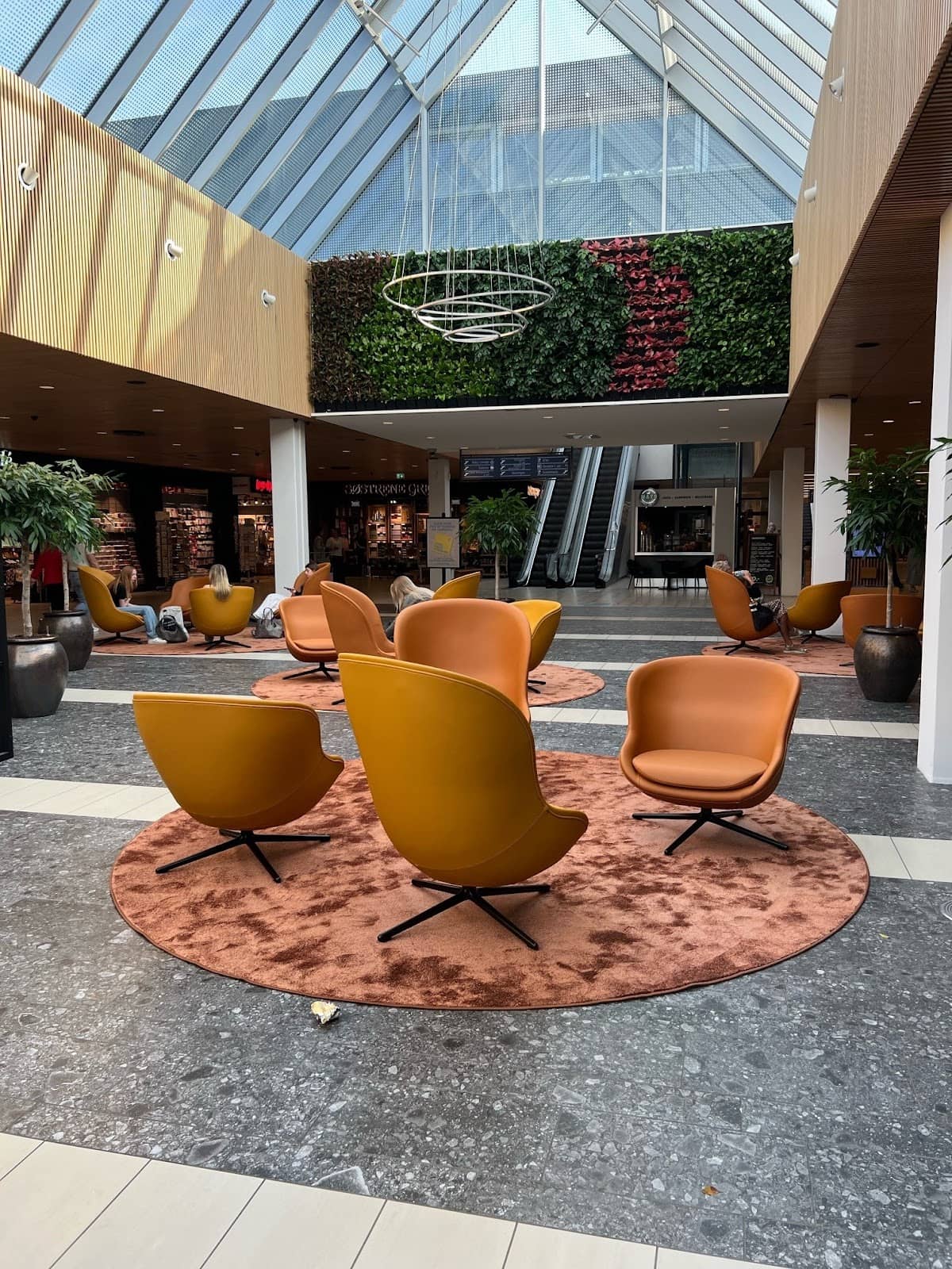 Local Events & Entertainment