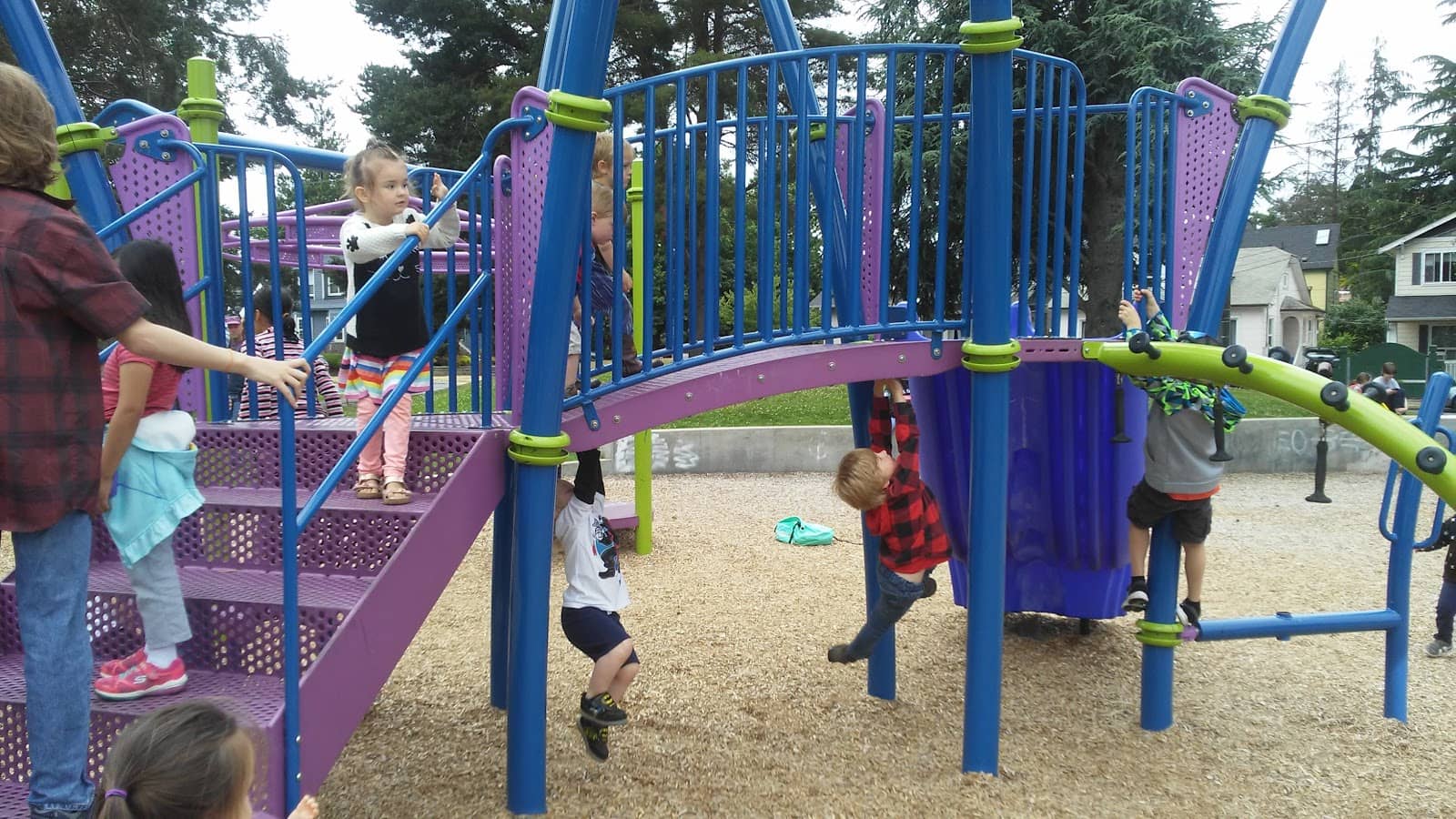 Community Events & Concerts