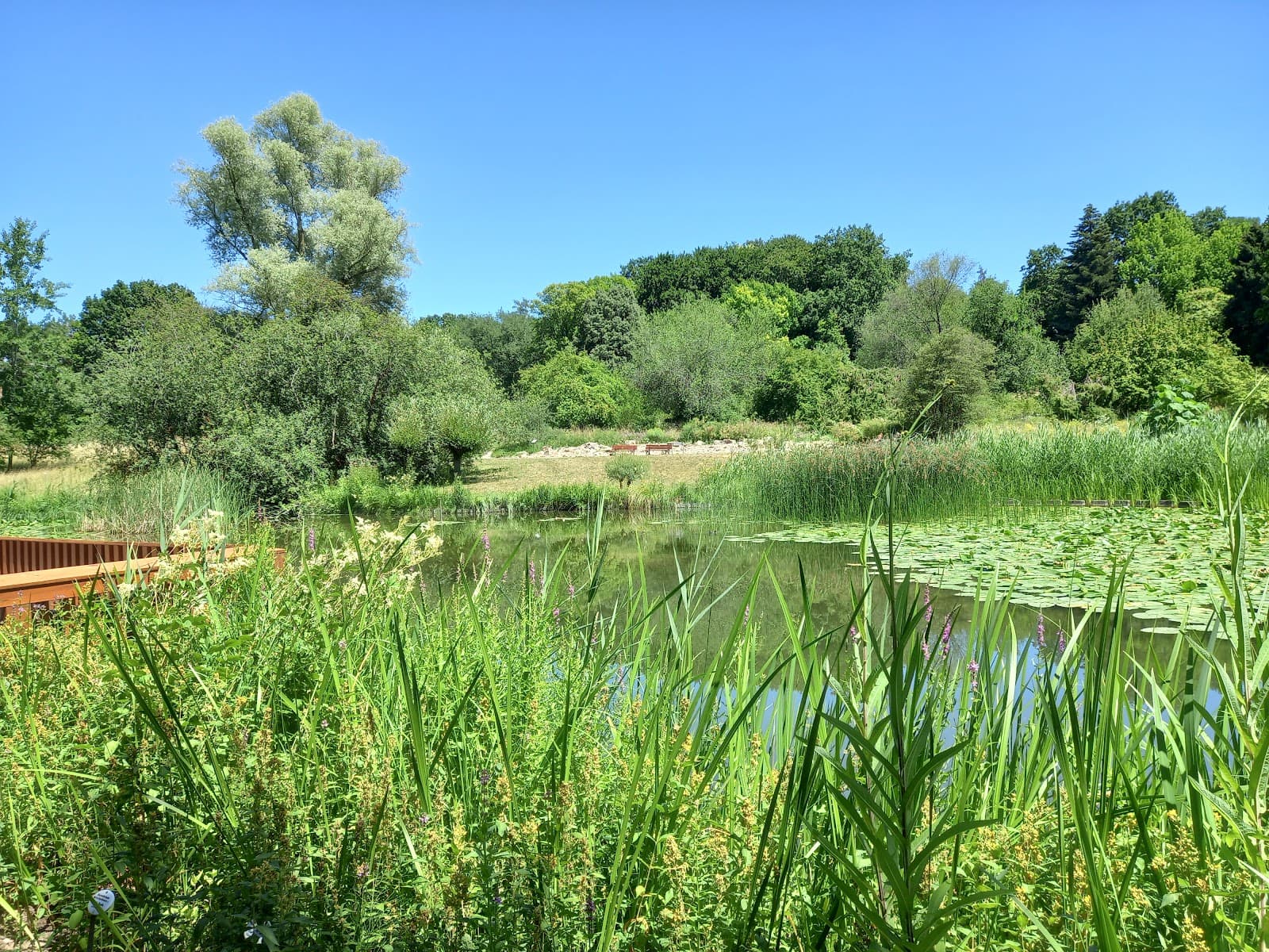 Frankfurt Botanic Garden Frankfurt - Image 1