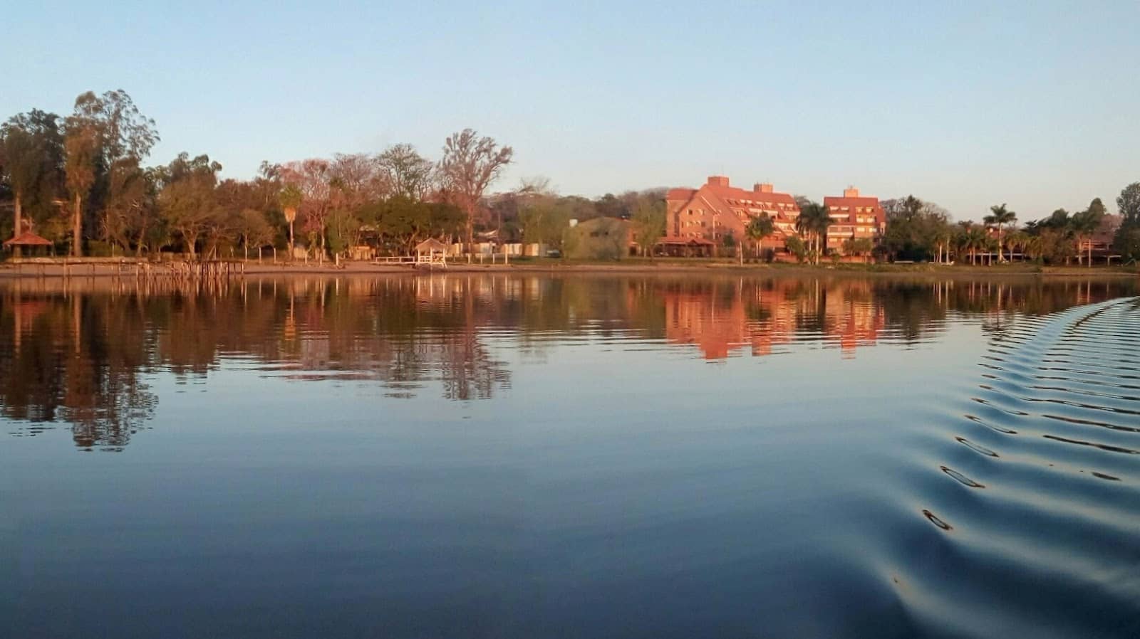 Pat's Place Soul Food