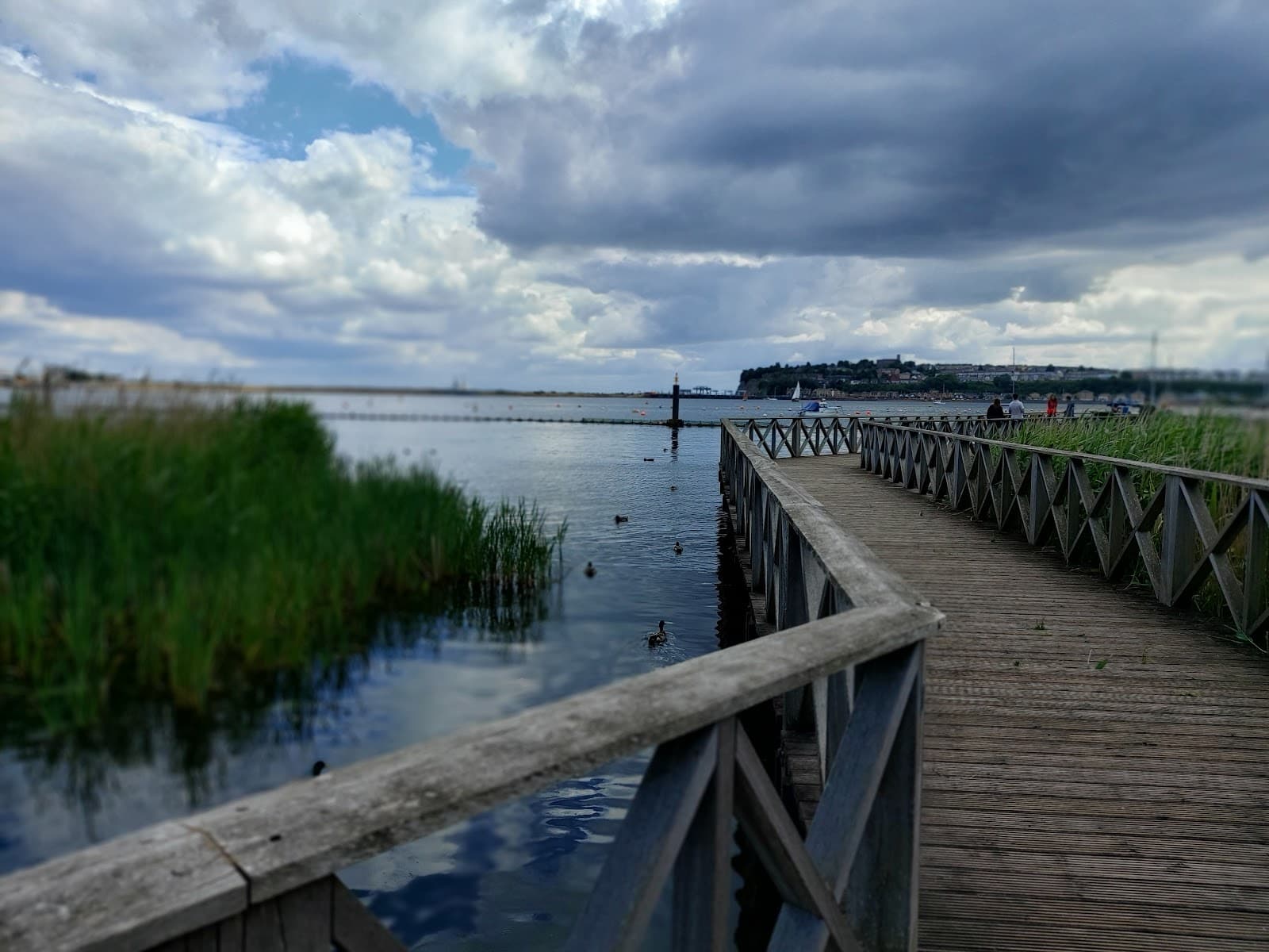 Cardiff Bay Wetlands Reserve - Image 1