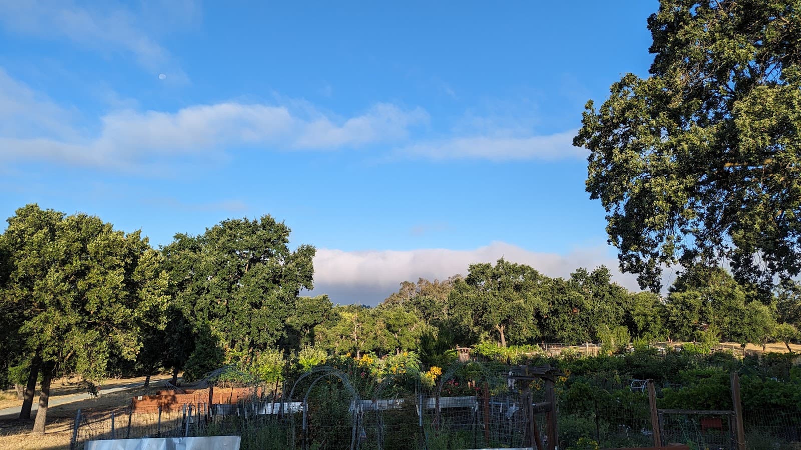 Howe Homestead Park - Image 1