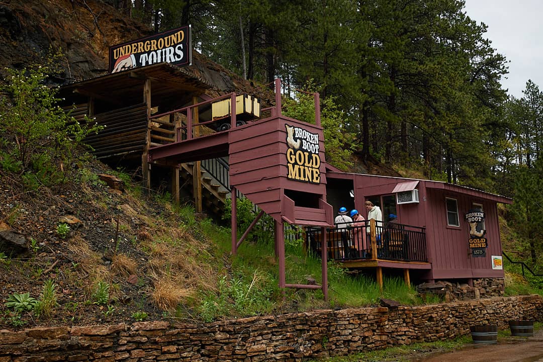 Miner's Life Insights