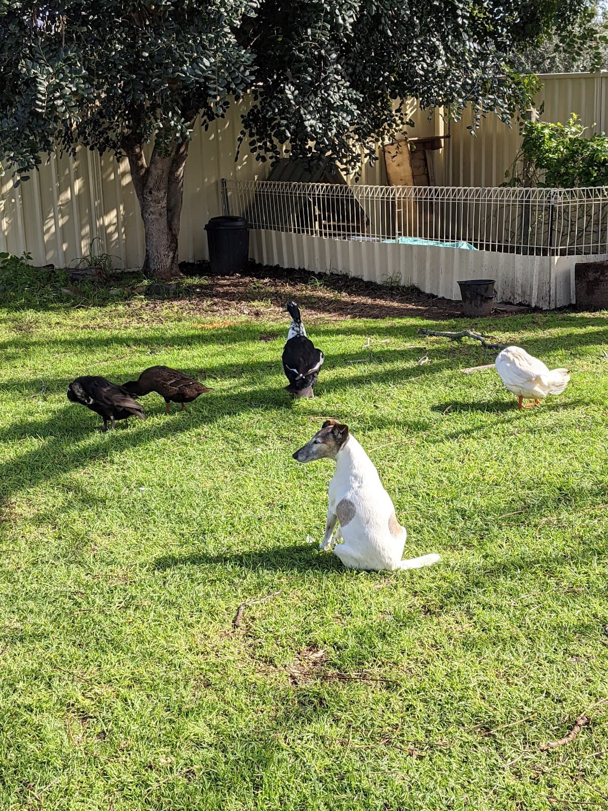 Joondalup CBD - Image 1