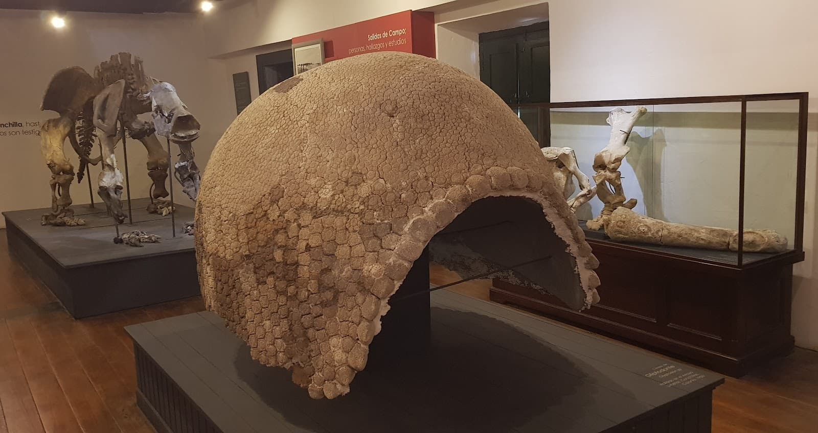 Municipal Museum Dr Bautista Rebuffo - Image 1