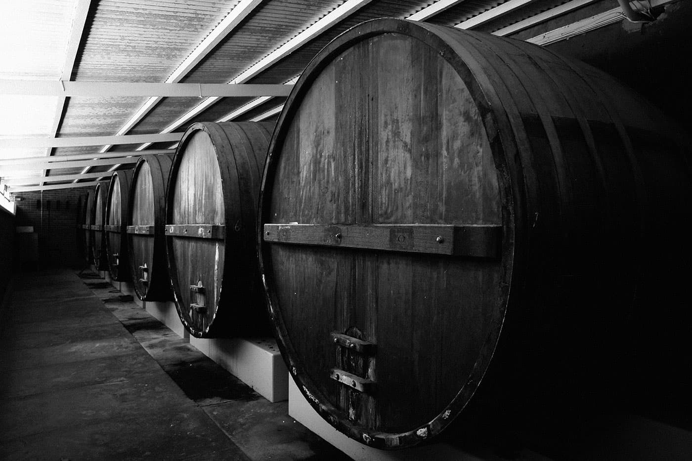 Hawke's Bay Trails: Wineries Ride - Image 1