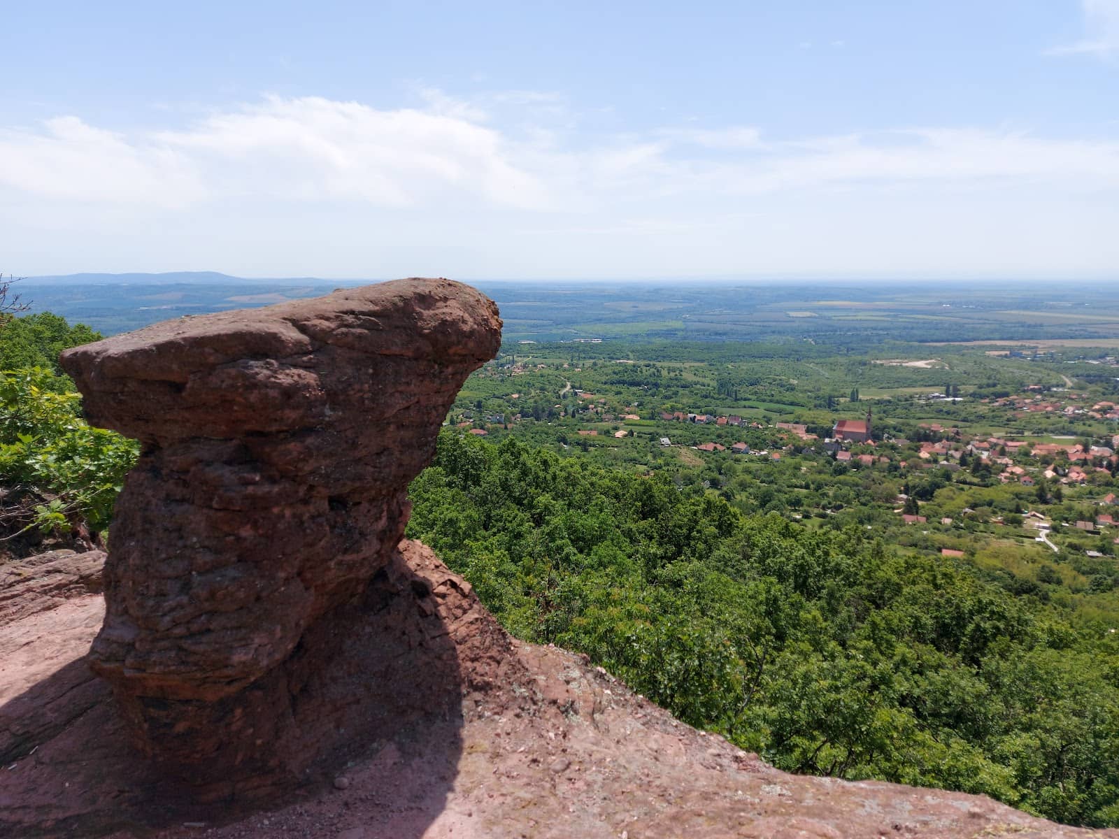 Forest Hiking Trails
