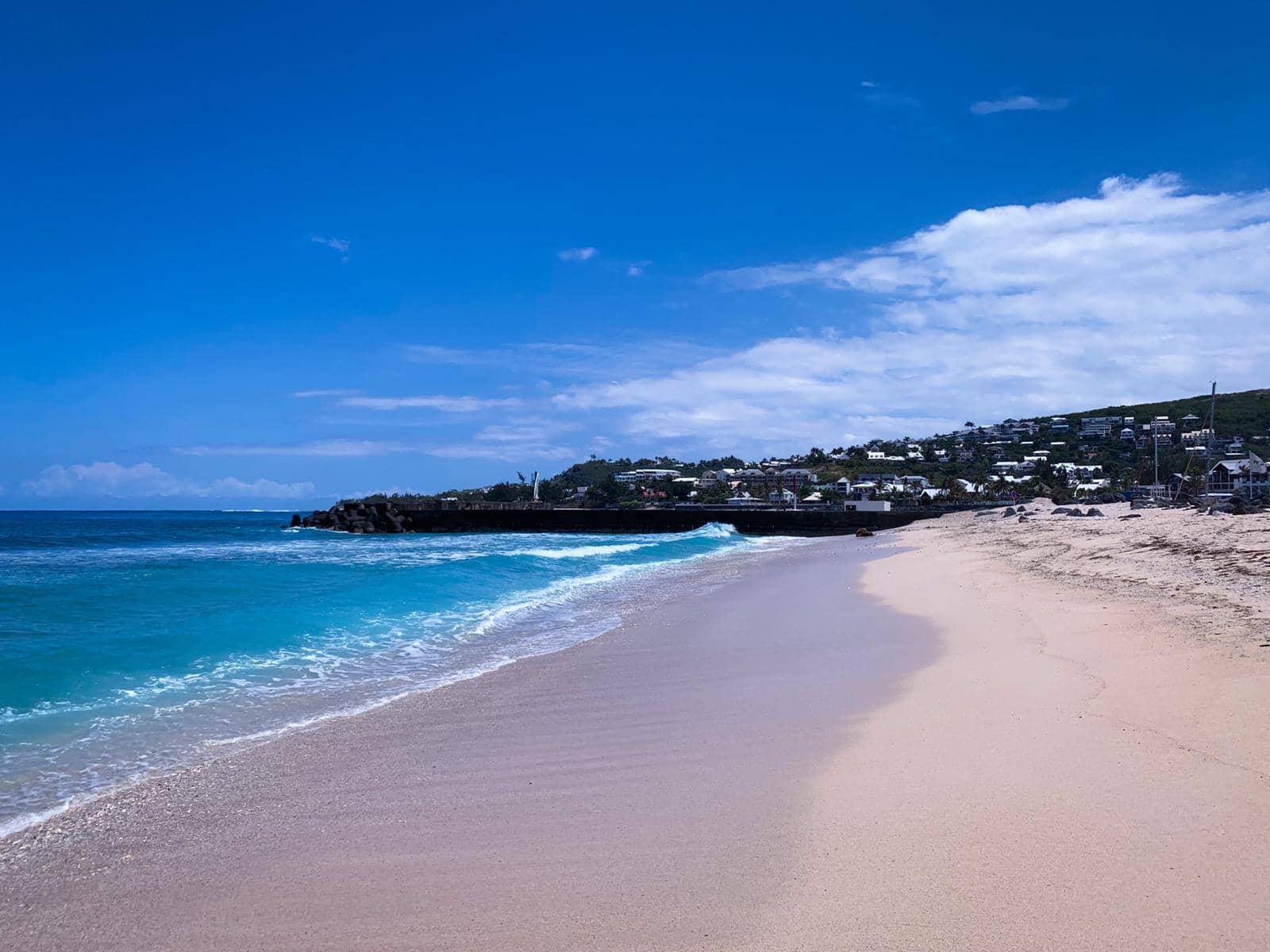 Ecological Revitalization Project