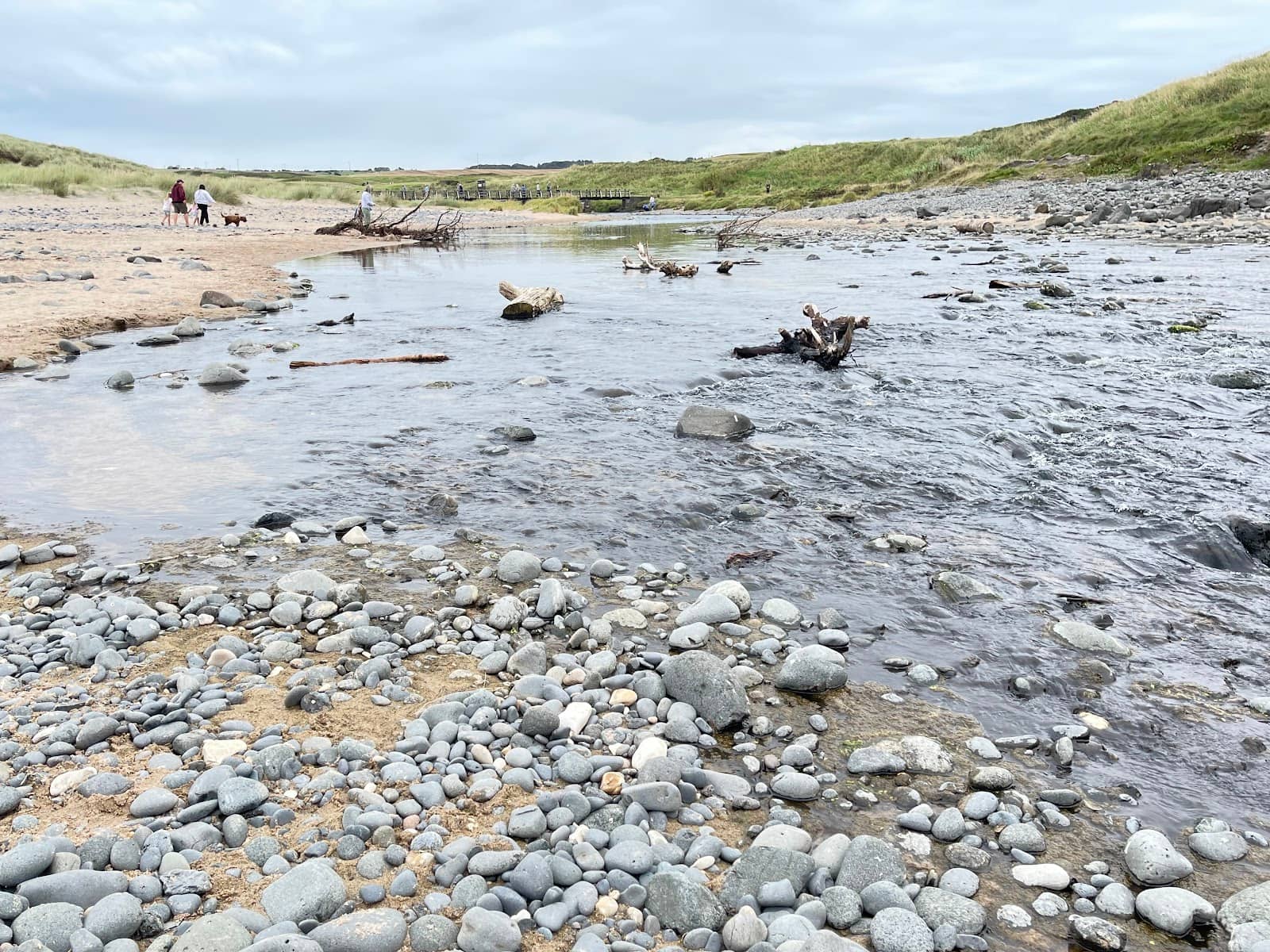 Bushmills Distillery Proximity