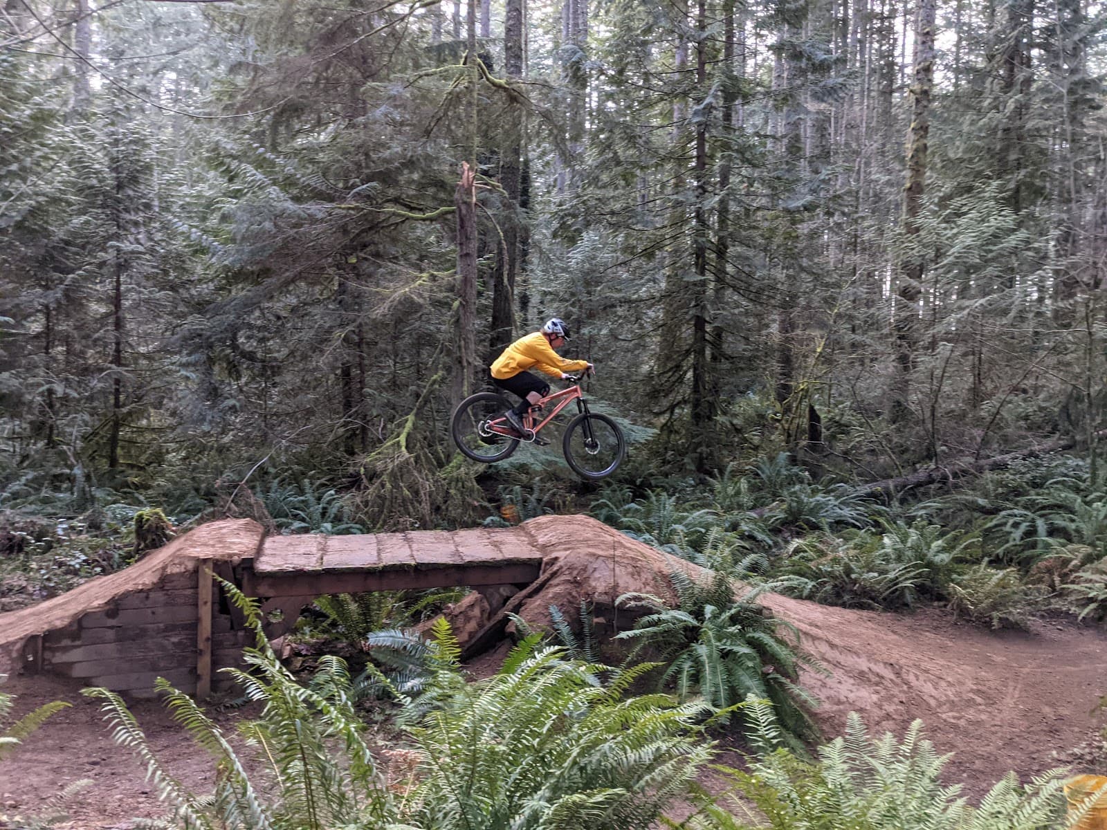 Duthie Hill Mountain Bike Park - Image 1