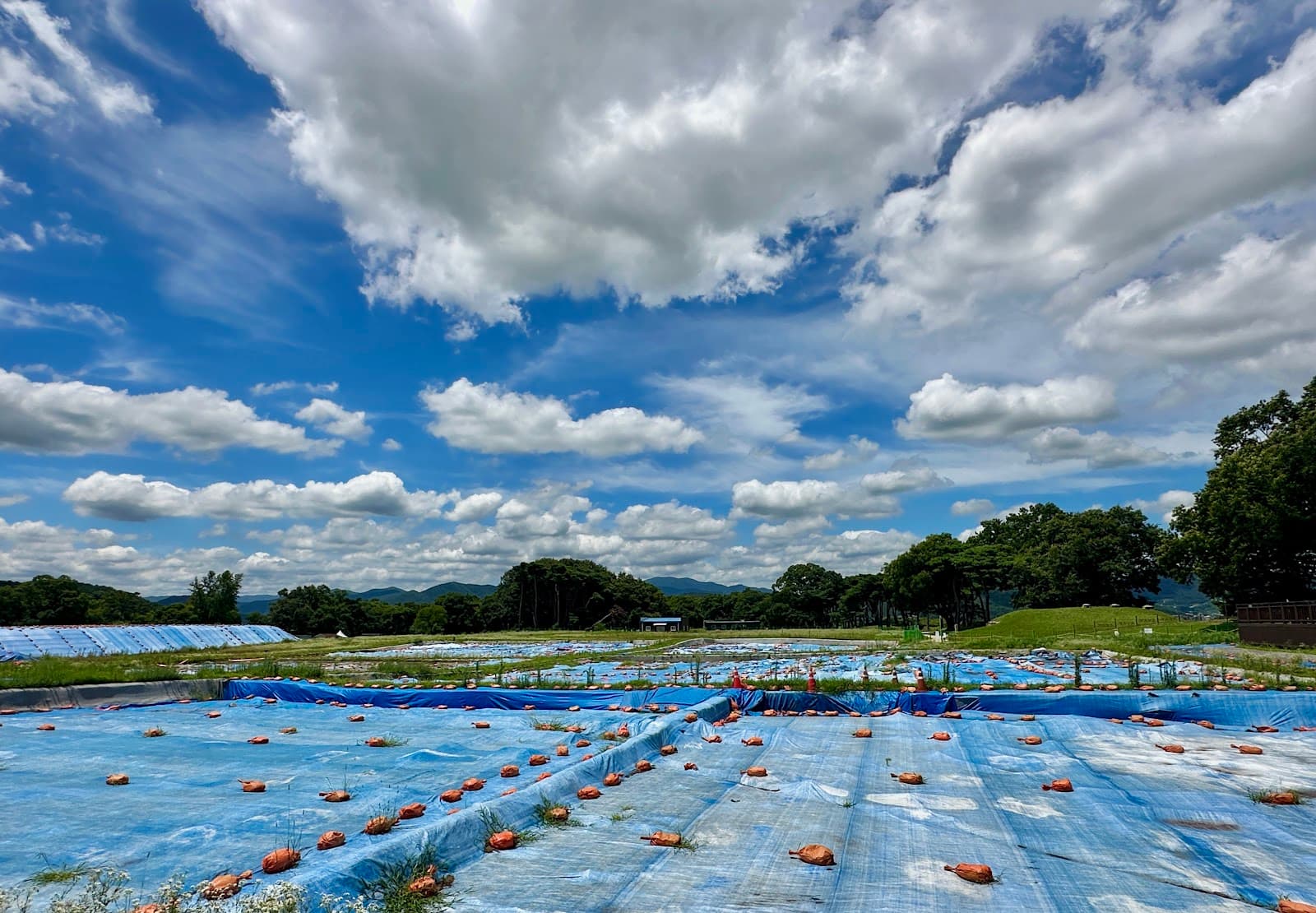 Wolseong Moat Trail Gyeongju - Image 1