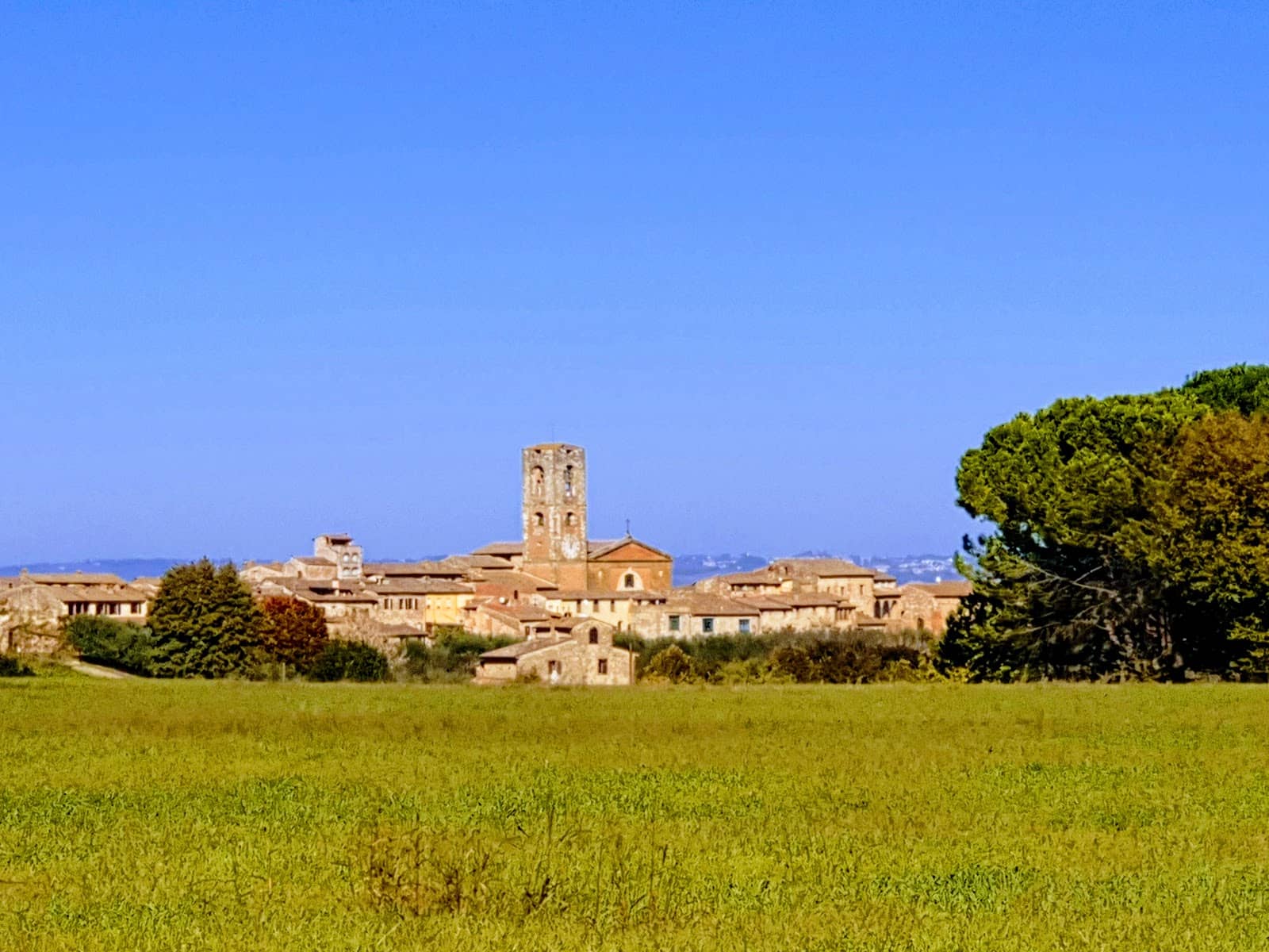 Medieval Architecture