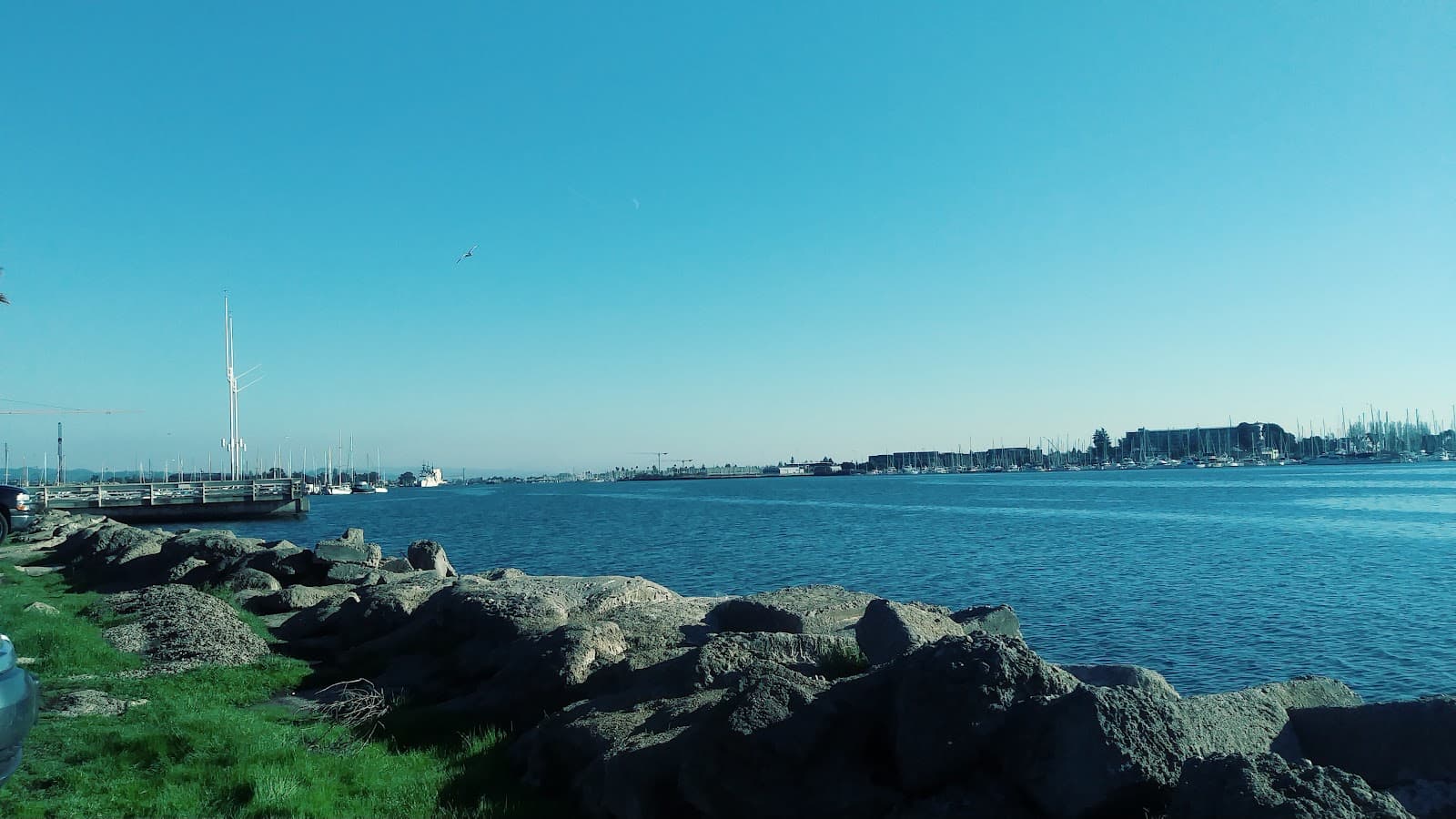 Estuary Park - Image 1