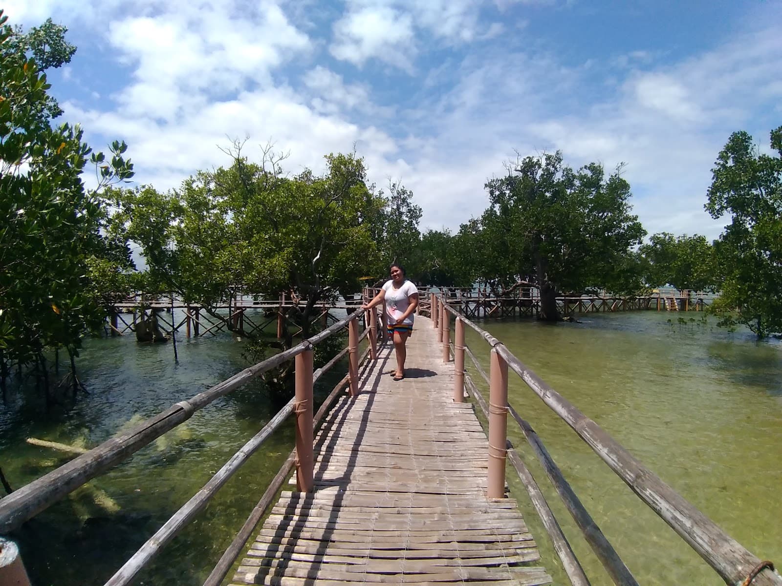 Suyac Island Mangrove Eco-Park - Image 1
