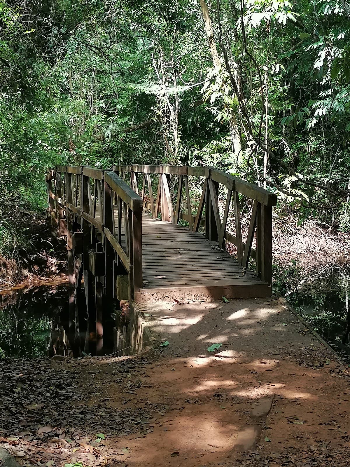 Rorota Trail - Image 1