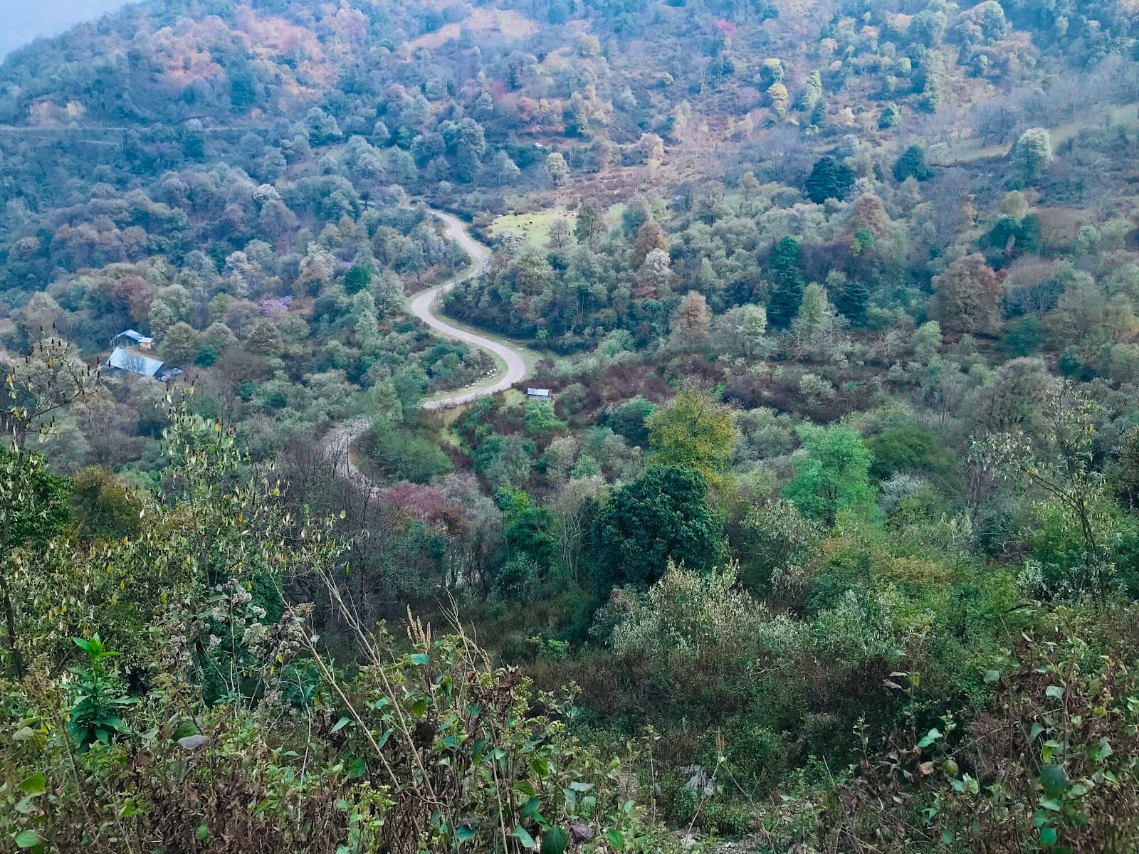 Khonoma Nature Conservation and Tragopan Sanctuary - Image 1
