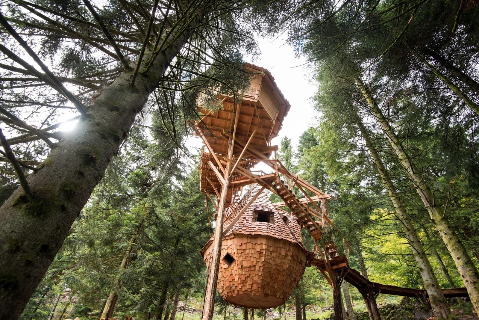 Bol d’Air Aventure (La Bresse) - Image 1